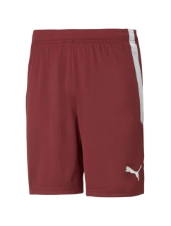 Puma teamLIGA M 704924 09 šortky