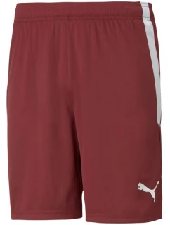 Puma teamLIGA M 704924 09 šortky