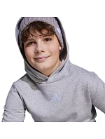 Dětská mikina Essentials Grey model 21953658 - ADIDAS