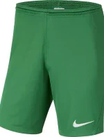 Pánská obuv Dry Park III NB K M BV6855 302 - Nike