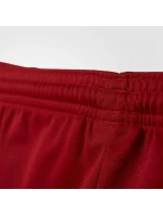 Pánské fotbalové šortky PARMA 16 SHORT M AJ5881 - Adidas