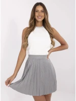 Spódnica NM SD model 21049565 szary - FPrice Spódnica NM SD model 21049565 szary - FPrice