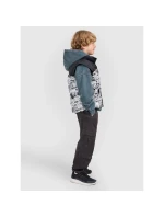 Chlapecké bez rukávů se syntetickou výplní model 21815727 - 4F Chlapecké bez rukávů se syntetickou výplní model 21815727 - 4F