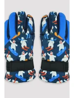 LYŽAŘSKÉ RUKAVICE RN063