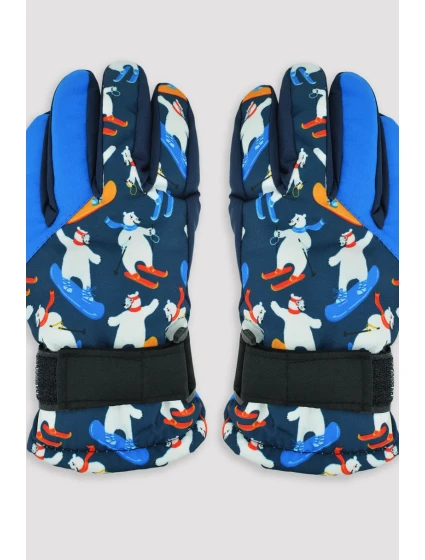 LYŽAŘSKÉ RUKAVICE RN063