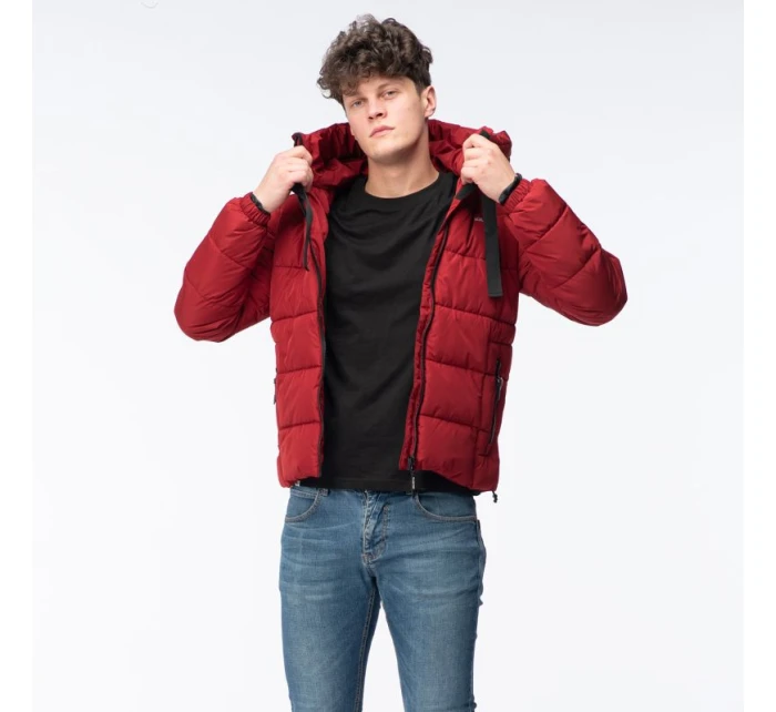 Pánský prošívaný zimní kabát model 21417557 - Iguana