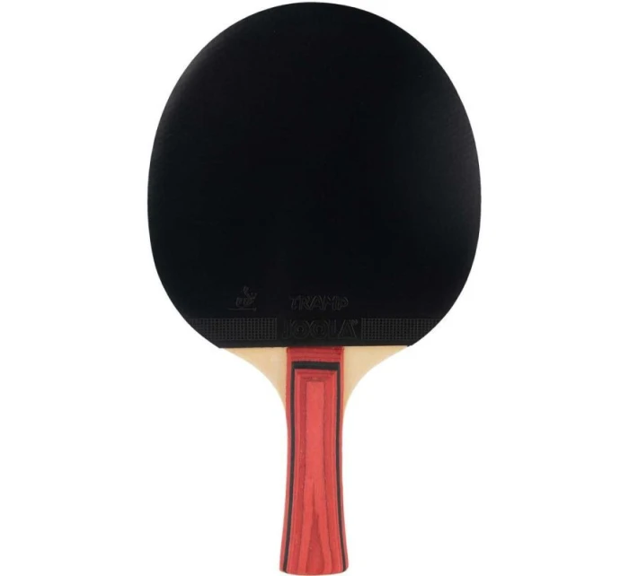 JUNIORSKÁ RAKETA NA STOLNÍ TENIS JOOLA TEAM