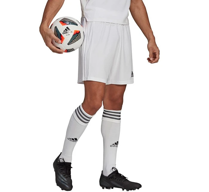 Pánské kraťasy Squadra 21 Short M GN5774 - Adidas