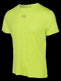 Pánské tričko s krátkým rukávem model 21357135 - IQ