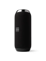 BLUETOOTH  FM   USB-C model 21861629