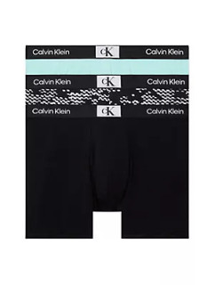 Pánské spodní prádlo BOXER BRIEF 3PK 000NB3529EMRU - Calvin Klein
