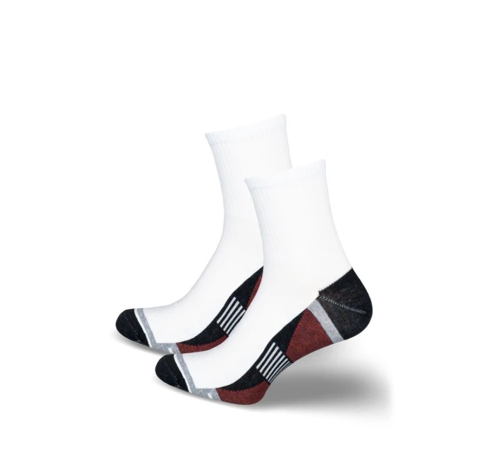 Pánské ponožky ACTIVE 0224.047