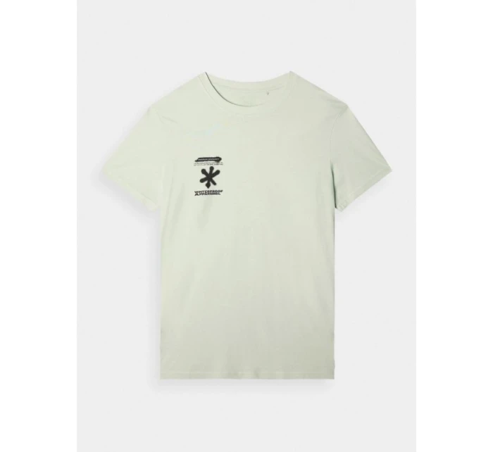 Pánské tričko s potiskem 4F 4FRAW24TTSHM2603-47S