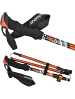 V PRO model 21826676 - Enero V PRO model 21826676 - Enero