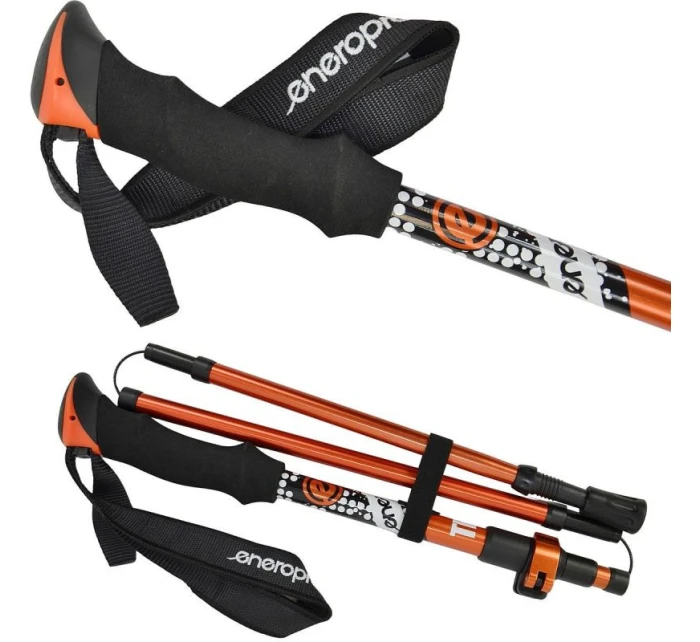 V PRO model 21826676 - Enero V PRO model 21826676 - Enero