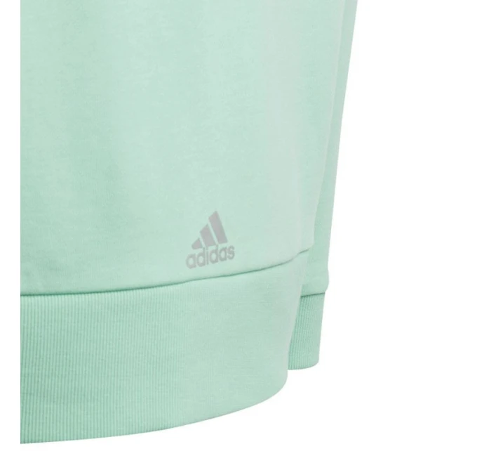 Adidas D Hoody Jr Mikina HR5825 Adidas D Hoody Jr Mikina HR5825