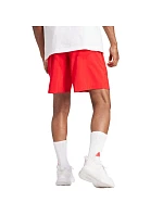 Šortky adidas Aeroready Essentials Chelsea Small Logo M IC9394