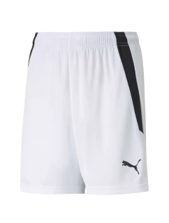 Puma teamLIGA Shorts Jr 704931 04