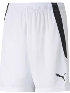 Puma teamLIGA Shorts Jr 704931 04