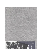 Pánské tričko s potiskem 4F 4FRAW25TTSHM3364-27M