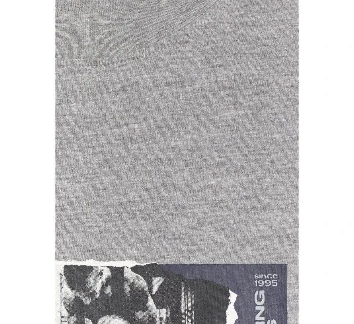 Pánské tričko s potiskem 4F 4FRAW25TTSHM3364-27M