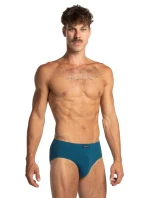 PÁNSKÉ SLIPY model 21182852 3PACK - Lama