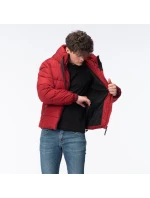 Pánský prošívaný zimní kabát model 21417557 - Iguana