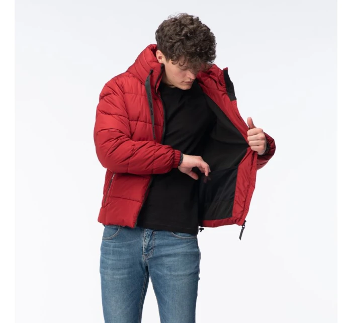 Pánský prošívaný zimní kabát model 21417557 - Iguana