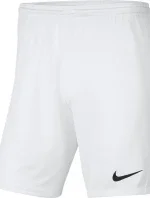 Pánská obuv Dry Park III NB K M BV6855 100 - Nike