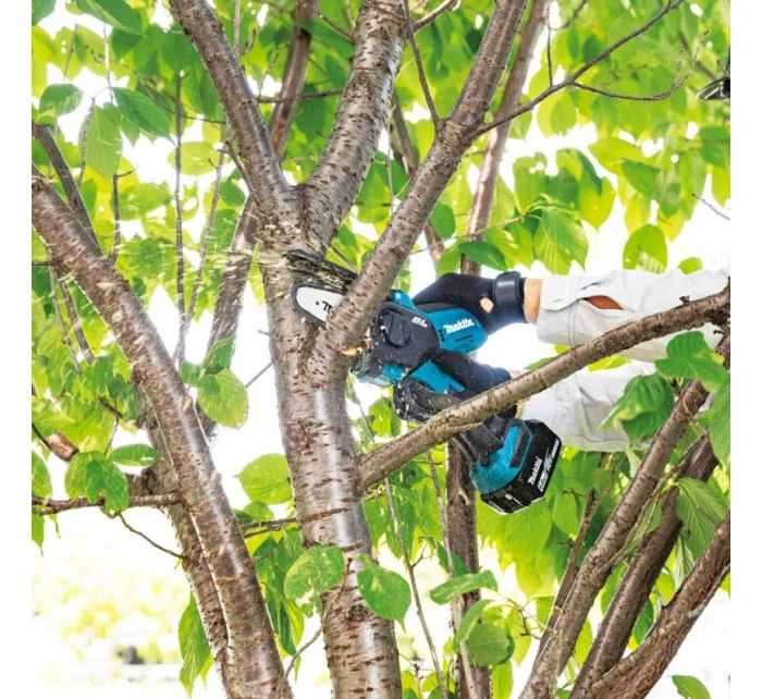 W model 21762039 W model 21762039