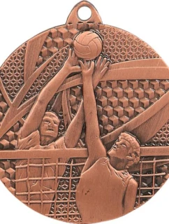 bronzová medaile - volejbal