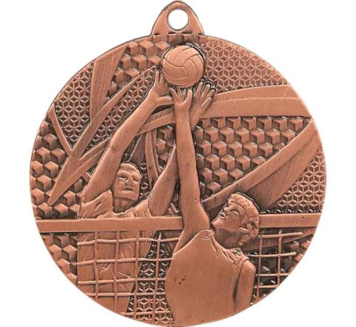 bronzová medaile - volejbal