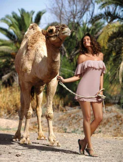 Taupe tunika (4)  model 17579270 - Marko