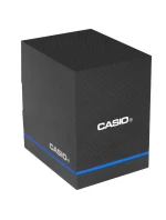 Dámské hodinky CASIO LTP-2069D-4AVEG