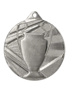 Celková stříbrná medaile s pohárem