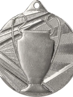 Celková stříbrná medaile s pohárem