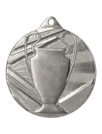 Celková stříbrná medaile s pohárem