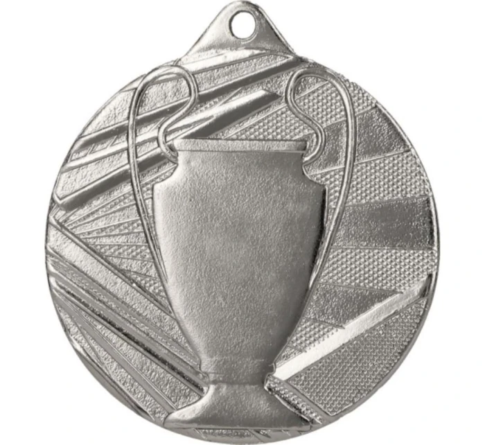 Celková stříbrná medaile s pohárem