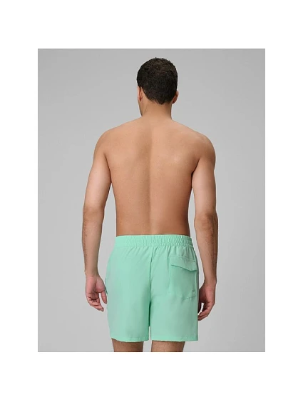 Pánské plážové šortky boardshorts model 22220086 - 4F