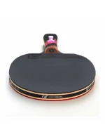 na stolní tenis Carbon model 18716678 - CORNILLEAU na stolní tenis Carbon model 18716678 - CORNILLEAU