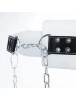 Z model 21438589 - DBX Bushido Z model 21438589 - DBX Bushido