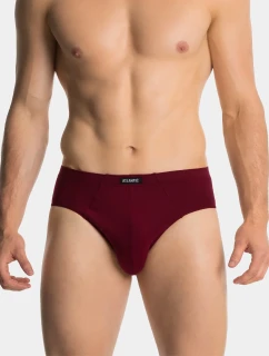 Klasické pánské slipy 3Pack model 20595784 - Atlantic