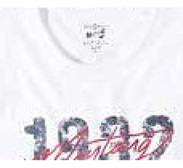 Pánské tričko 4195-2100 William bílé - Mustang