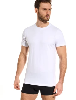 PÁNSKÉ TRIČKO TT002