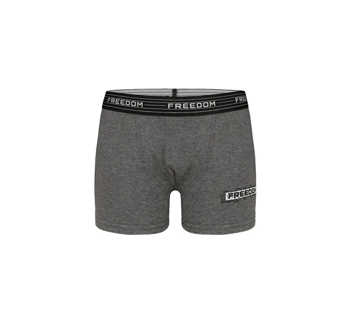 Boys  boxerky model 21339413 - Donella