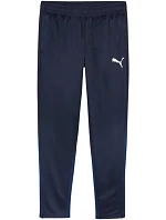 Puma Team Goal Training M kalhoty 658639 06