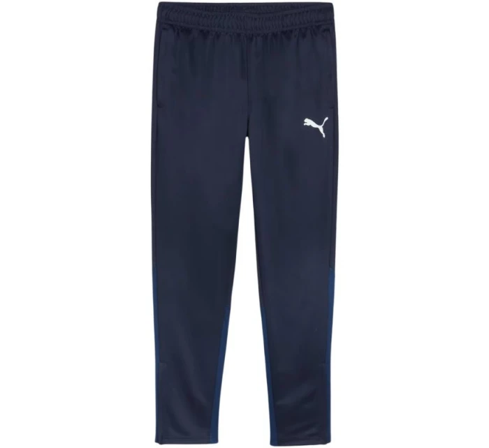 Puma Team Goal Training M kalhoty 658639 06 Puma Team Goal Training M kalhoty 658639 06