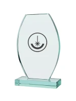 Trofeum szklane grawerowane z etui Trofeum szklane grawerowane z etui