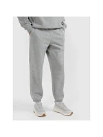 Pánské joggerové tepláky 4F 4FRMM00TTROM1625-27M