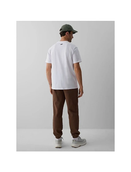 Spodnie dresowe joggery męskie model 22548171 - 4F